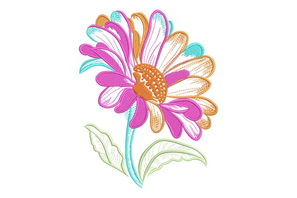 Vibrant Daisy: A Designer’s Real-World Review